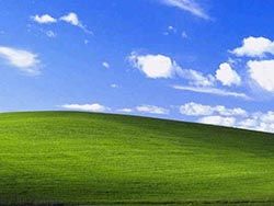     Windows XP   