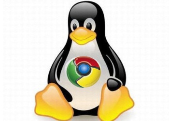    Chrome 35  Linux