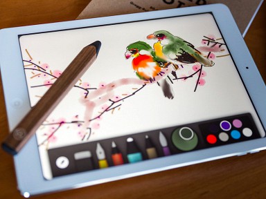 : iPad Pro  