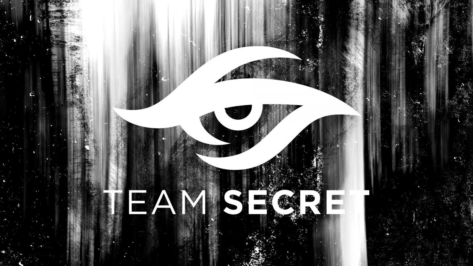 Team Secret    