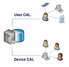 Microsoft      User CAL