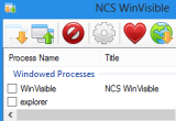 NCS WinVisible   