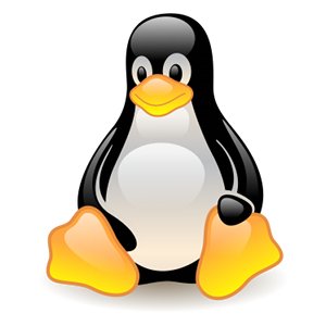  Linux    RdRand