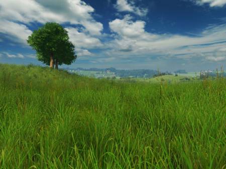  Grassland 3D Screensaver